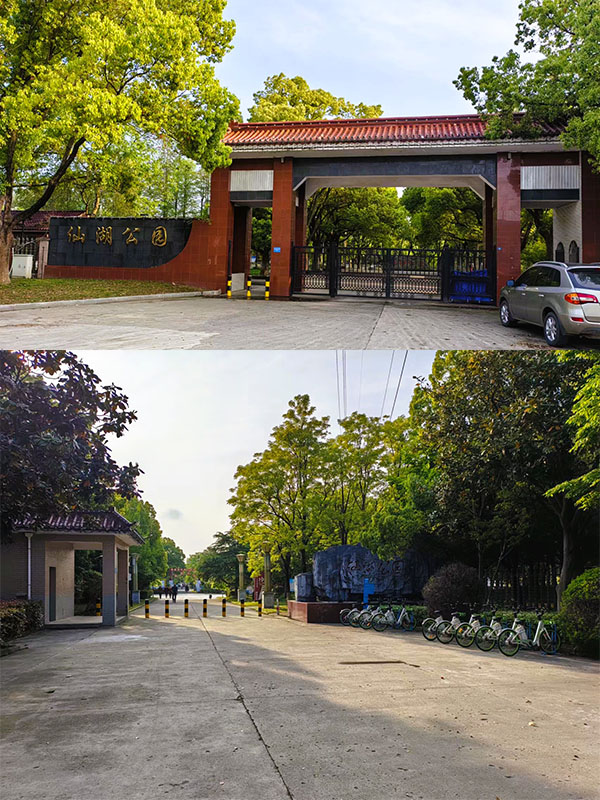 仙湖公園